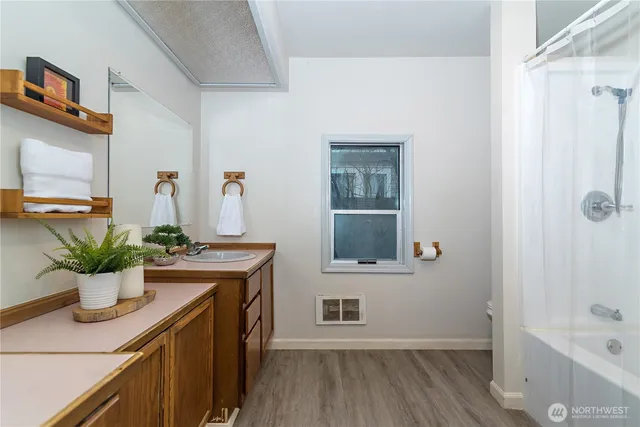 a bathroom with a sink a mirror and a potted plant