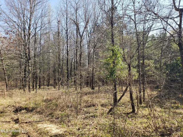 $2,541,000 | Hogfoot Road, Senatobia, MS 38668