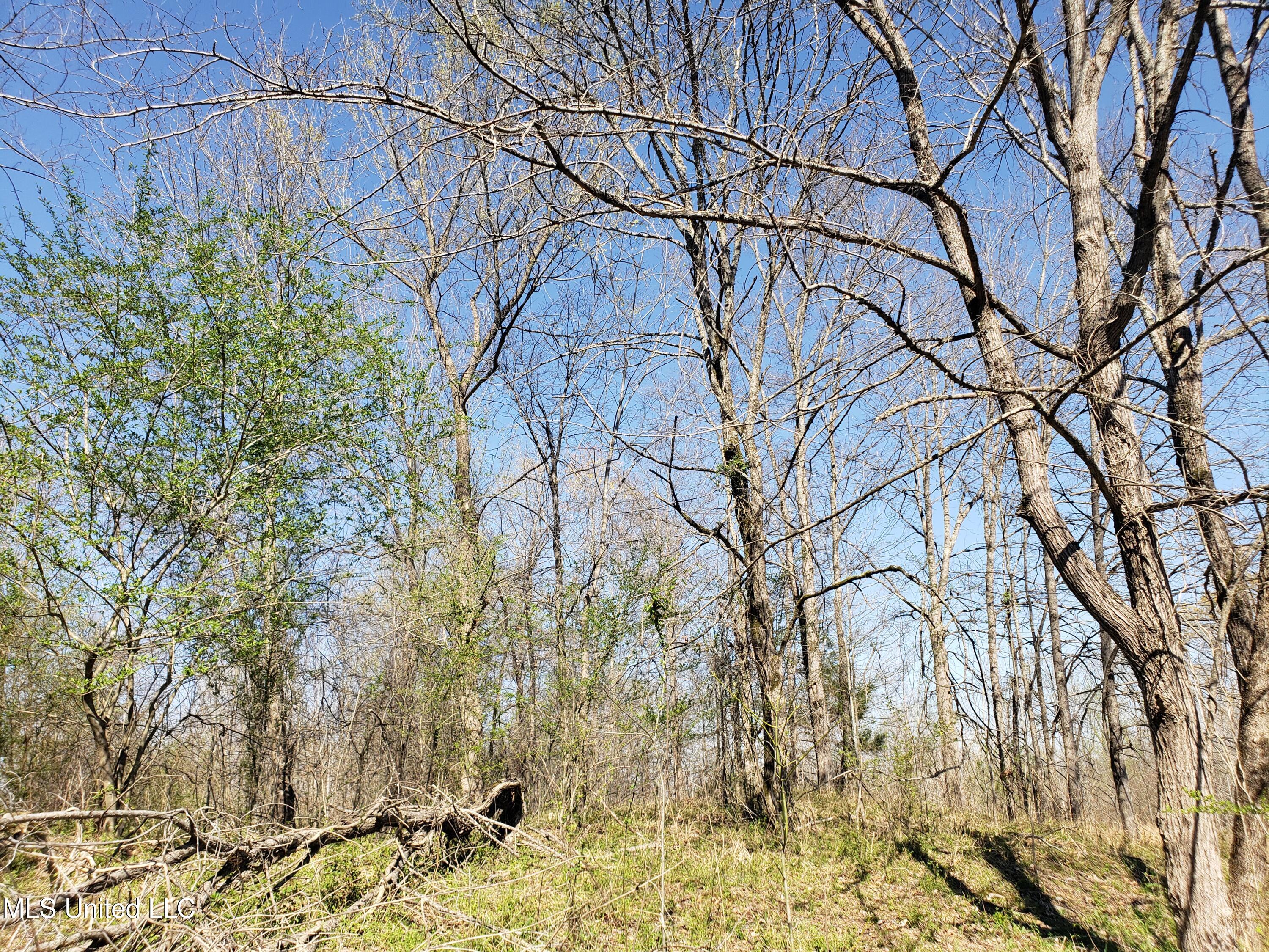 Hogfoot Road Senatobia, MS 38668 - Photo 102 of 145 20250326_154154