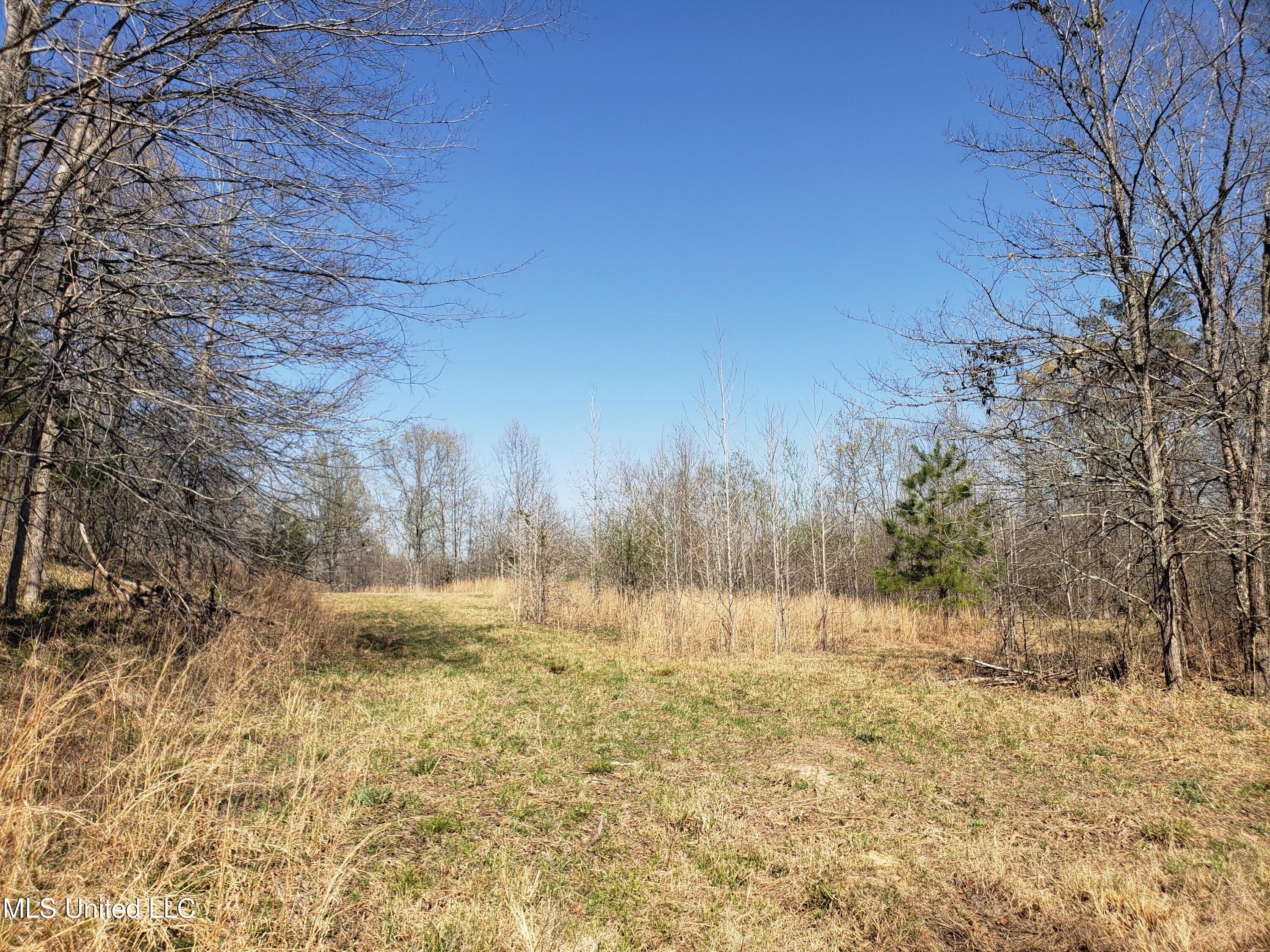 Hogfoot Road Senatobia, MS 38668 - Photo 103 of 145 20250326_154204