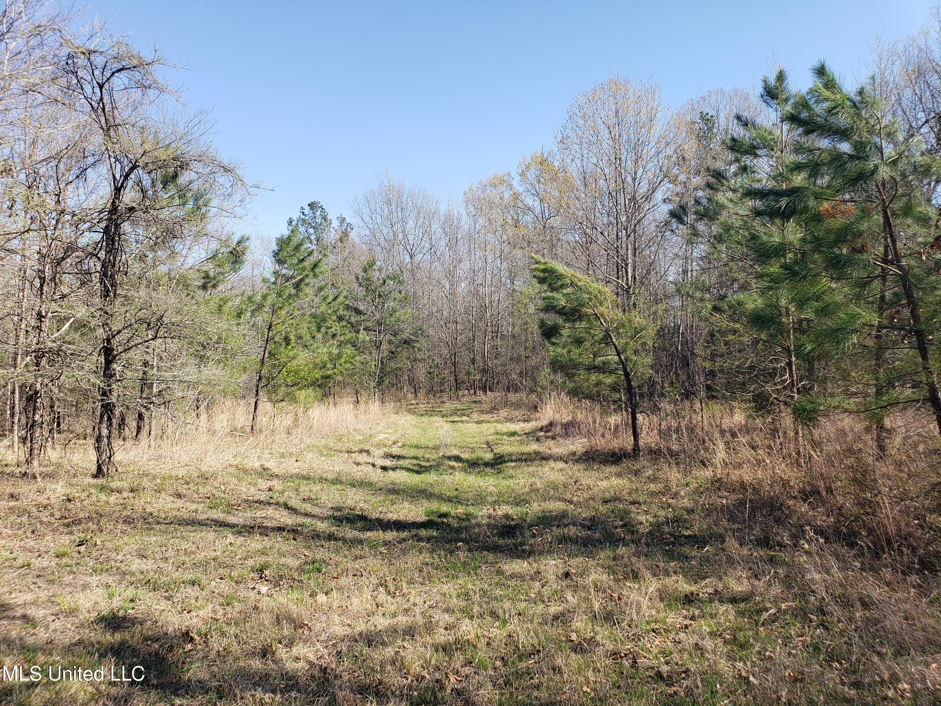 Hogfoot Road Senatobia, MS 38668 - Photo 104 of 145 20250326_154210