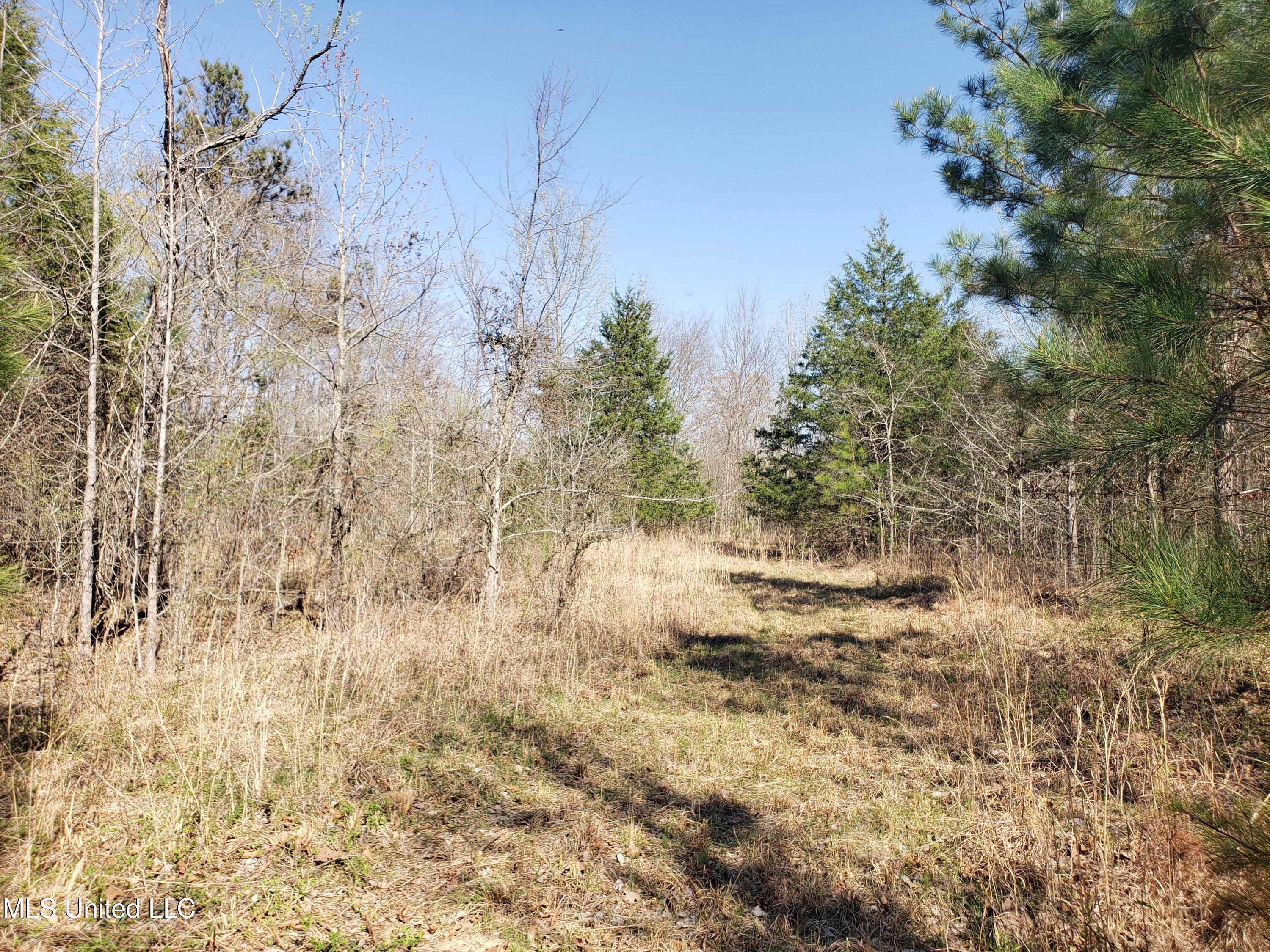 Hogfoot Road Senatobia, MS 38668 - Photo 105 of 145 20250326_154235