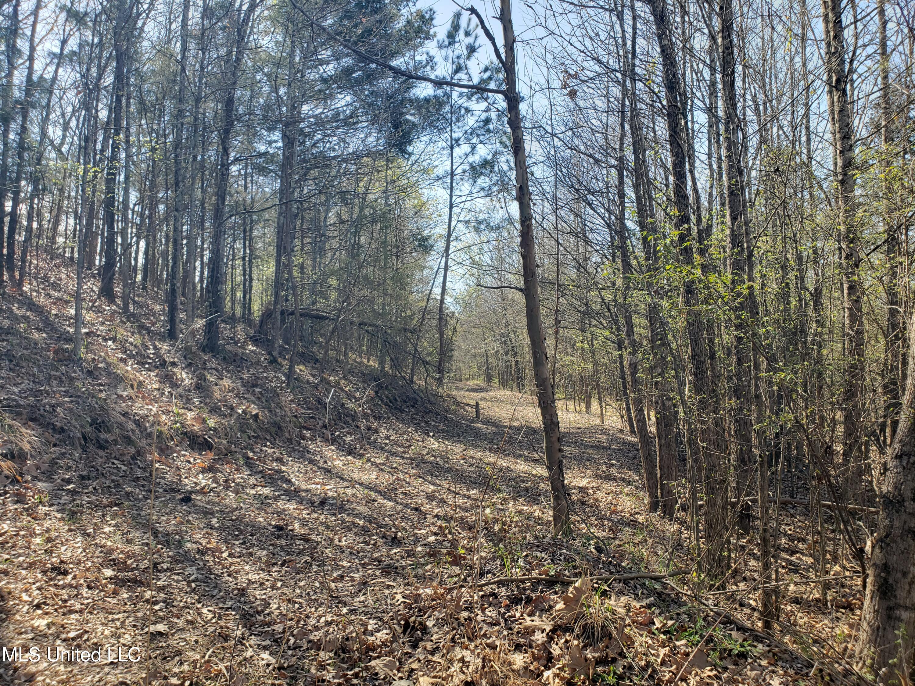 Hogfoot Road Senatobia, MS 38668 - Photo 106 of 145 20250326_154256