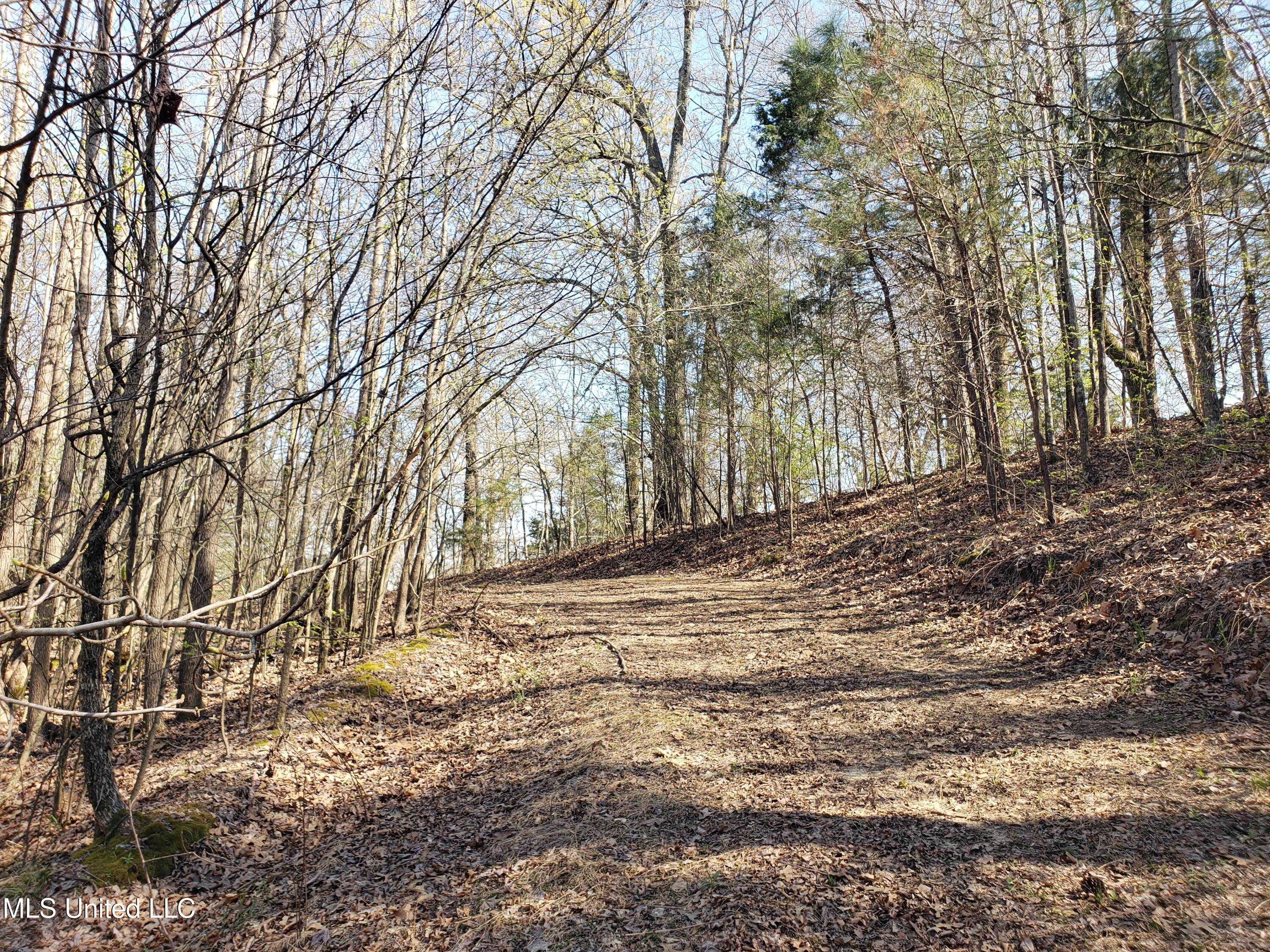 Hogfoot Road Senatobia, MS 38668 - Photo 107 of 145 20250326_154257