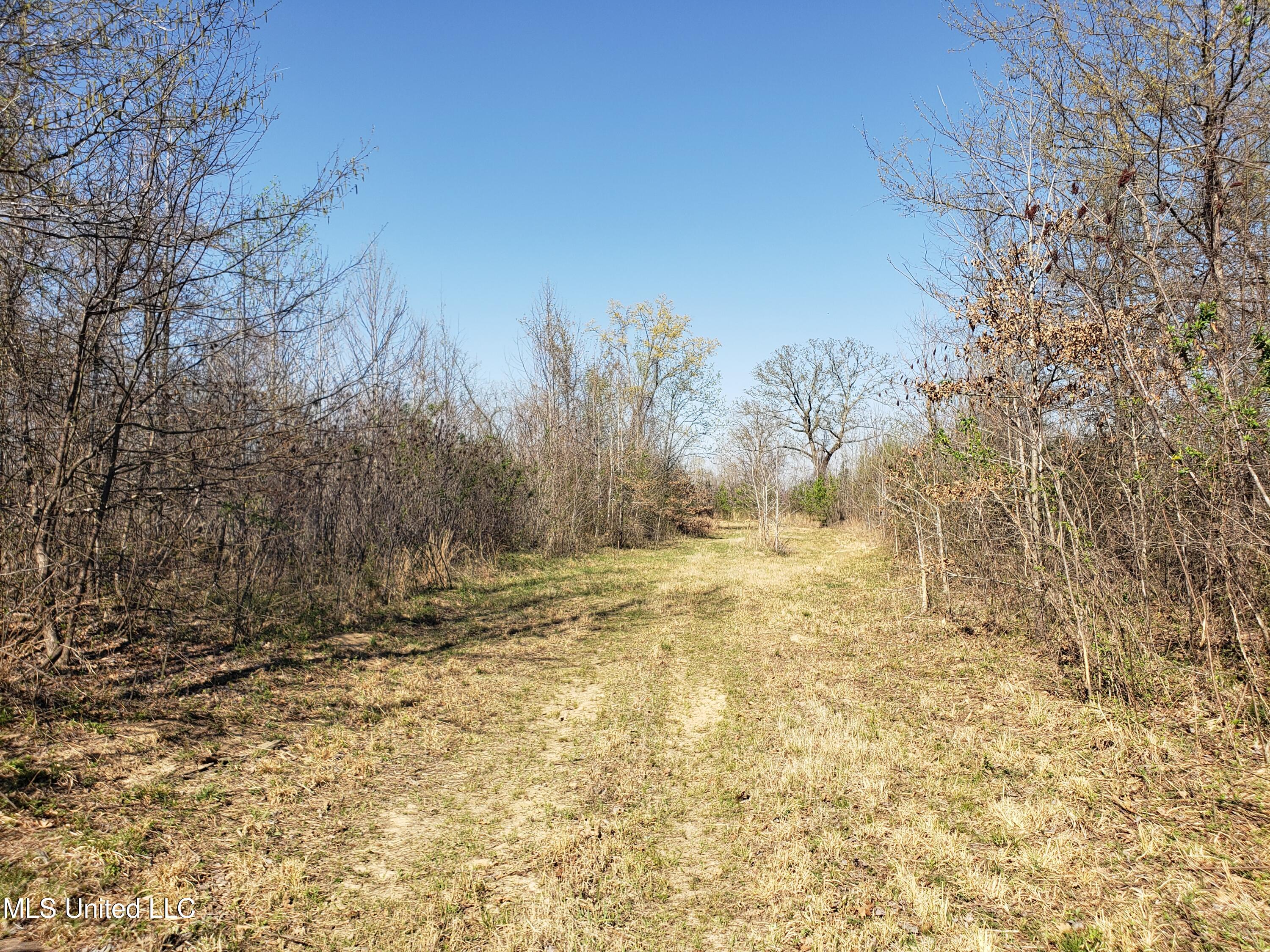 Hogfoot Road Senatobia, MS 38668 - Photo 108 of 145 20250326_154604