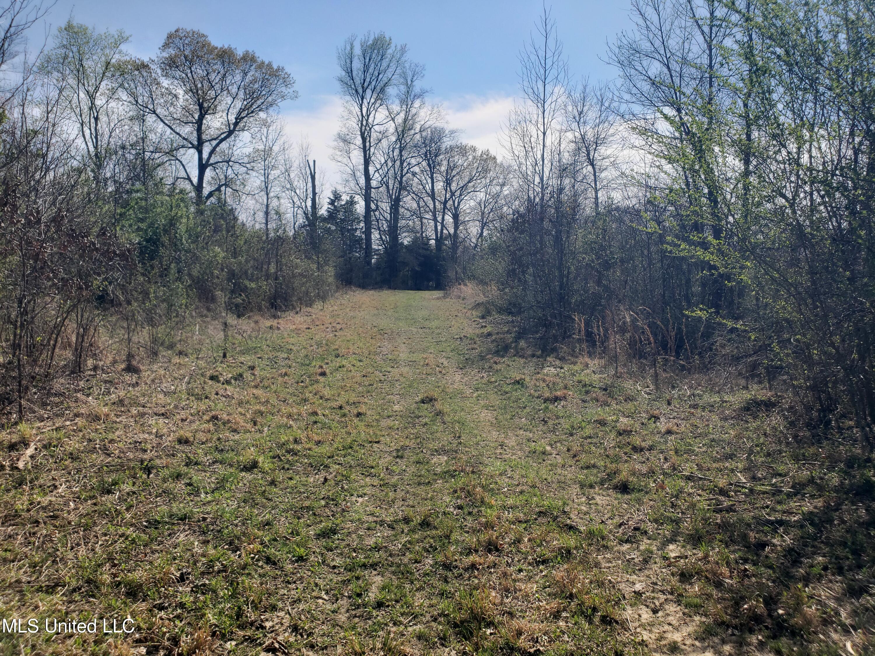 Hogfoot Road Senatobia, MS 38668 - Photo 109 of 145 20250326_154609