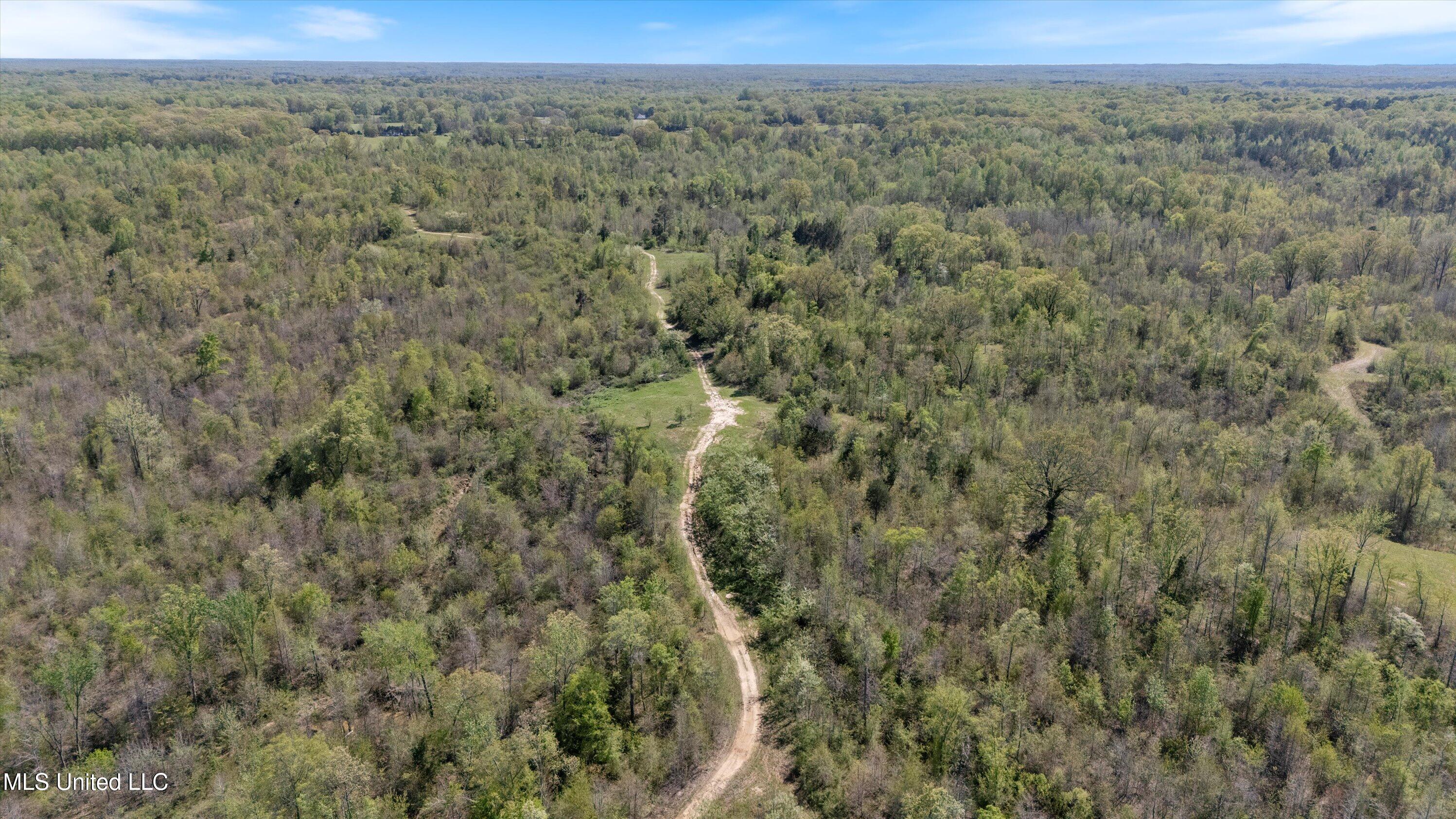 Hogfoot Road Senatobia, MS 38668 - Photo 11 of 145 11-DJI_20250407150925_0096_D