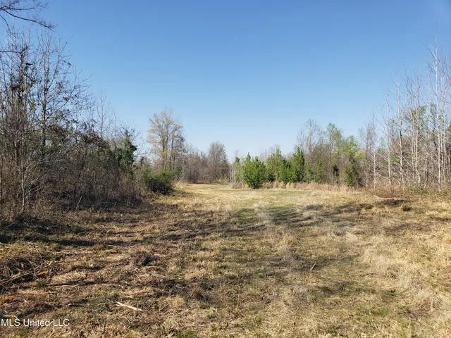 $2,541,000 | Hogfoot Road, Senatobia, MS 38668