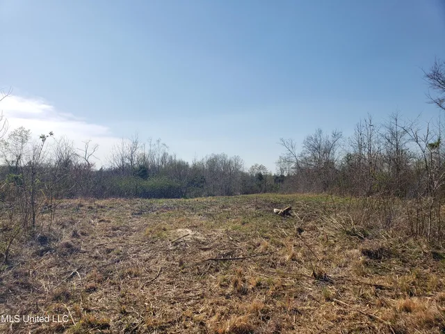 $2,541,000 | Hogfoot Road, Senatobia, MS 38668