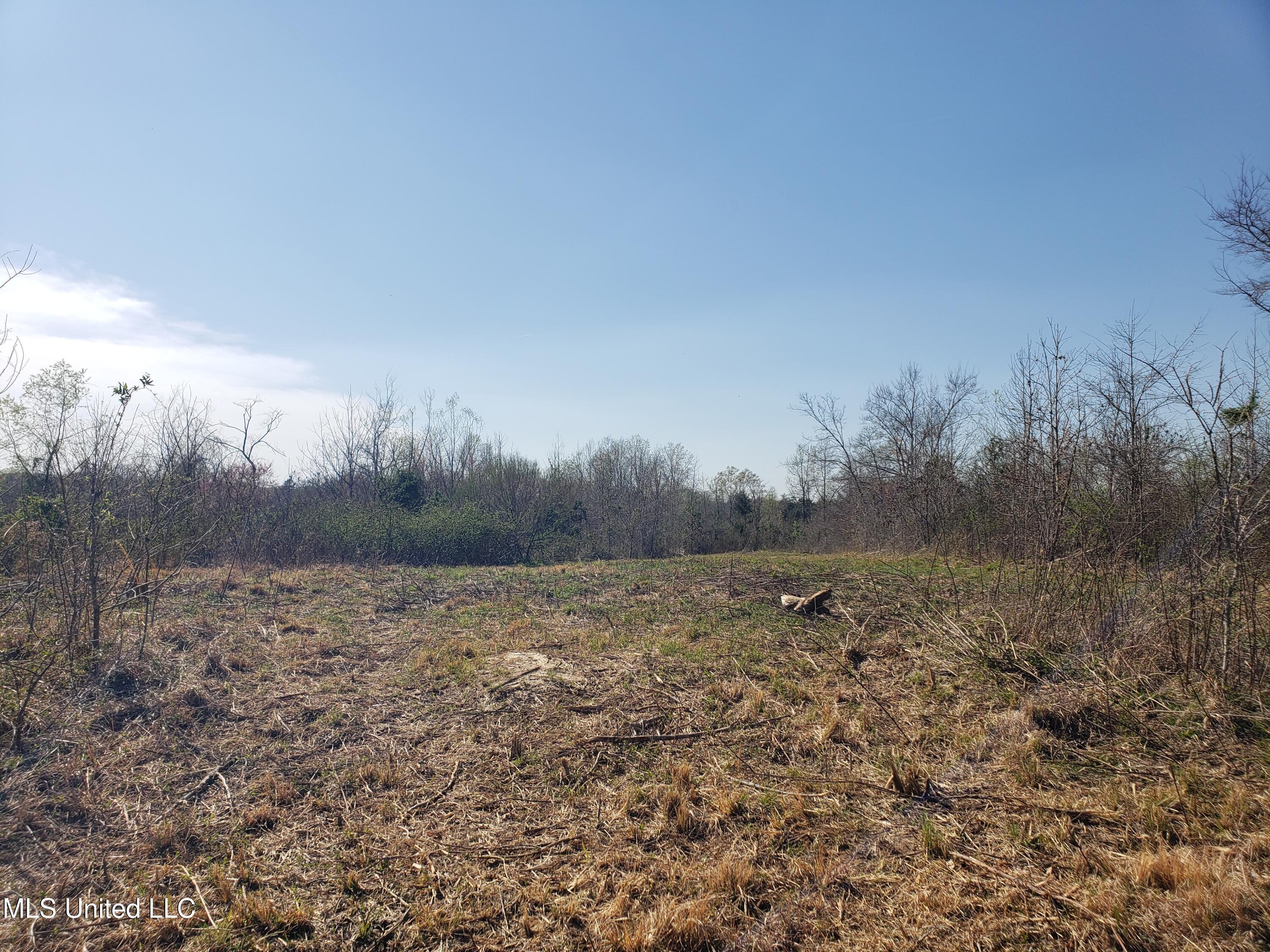 Hogfoot Road Senatobia, MS 38668 - Photo 112 of 145 20250326_154708