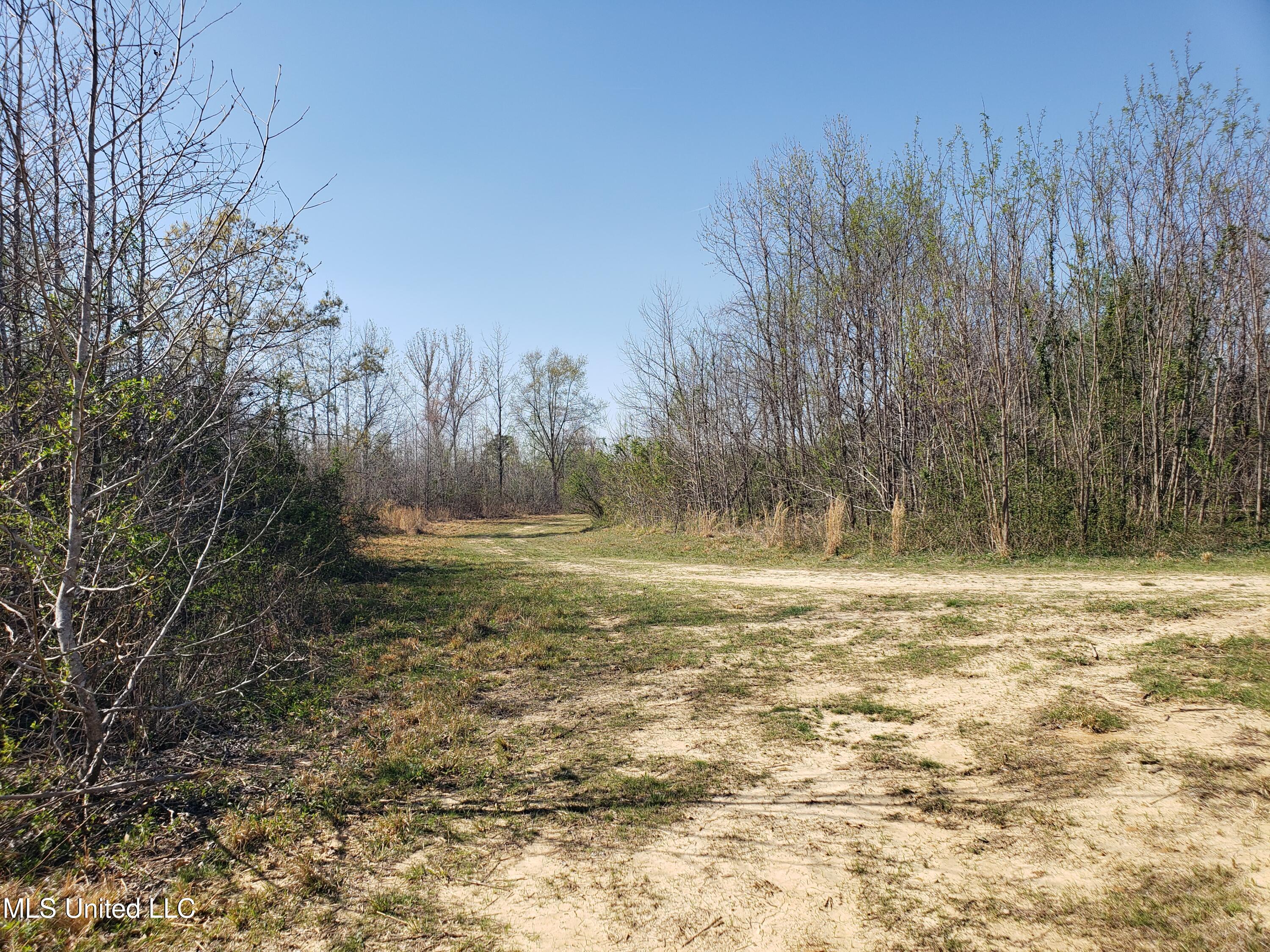 Hogfoot Road Senatobia, MS 38668 - Photo 113 of 145 20250326_154745