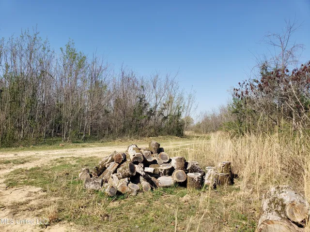$2,541,000 | Hogfoot Road, Senatobia, MS 38668