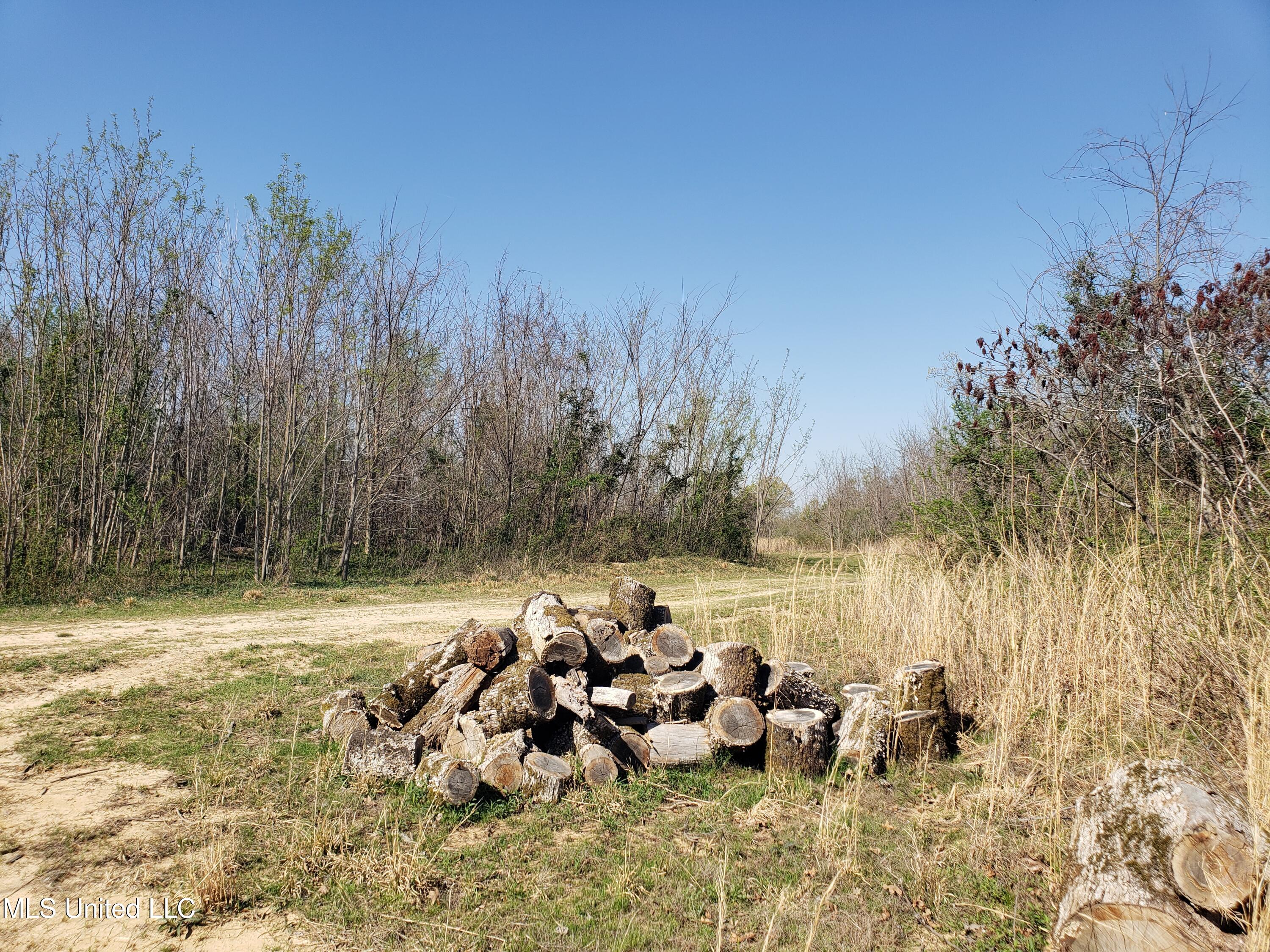 Hogfoot Road Senatobia, MS 38668 - Photo 114 of 145 20250326_154747