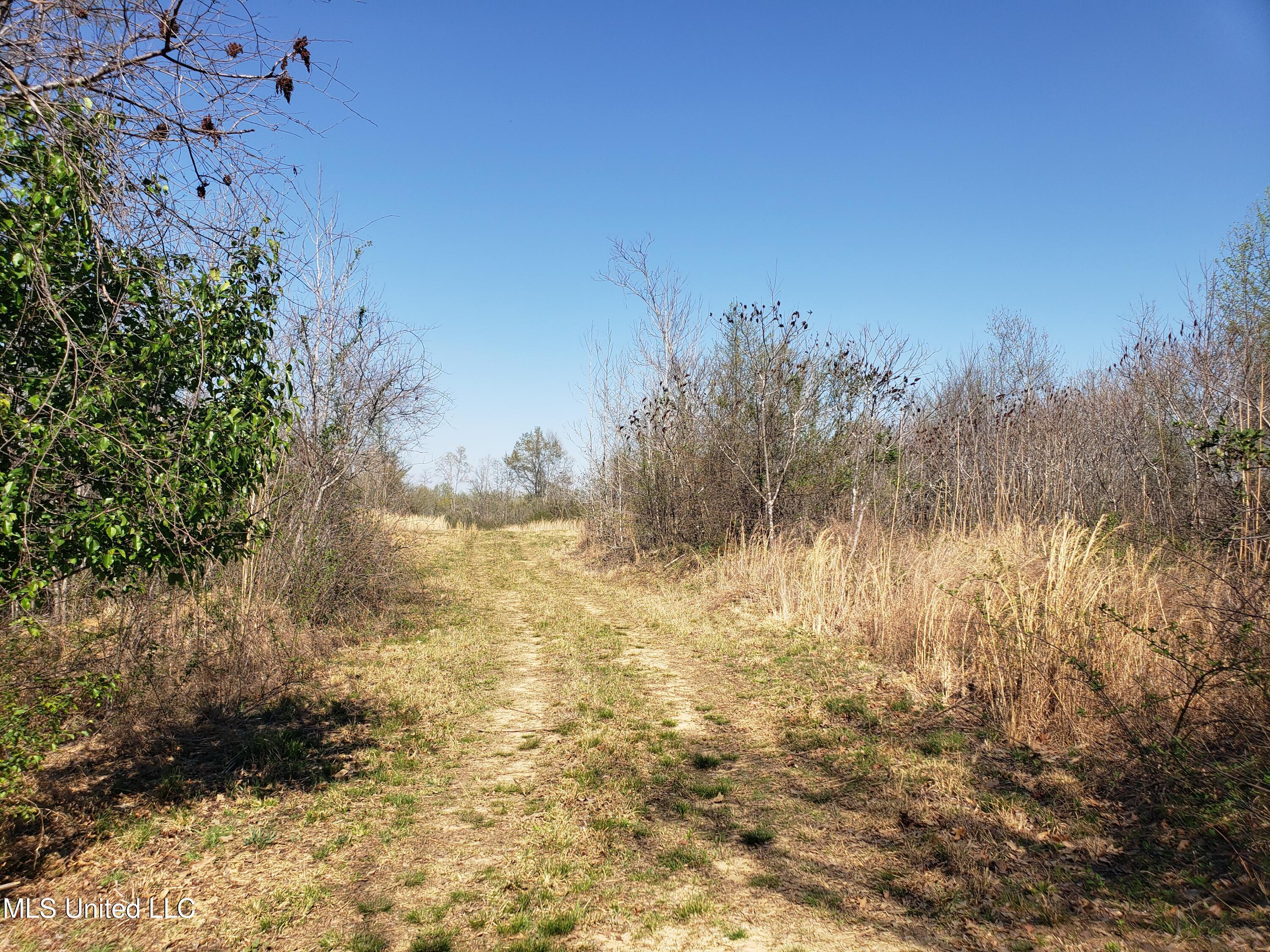 Hogfoot Road Senatobia, MS 38668 - Photo 115 of 145 20250326_154851