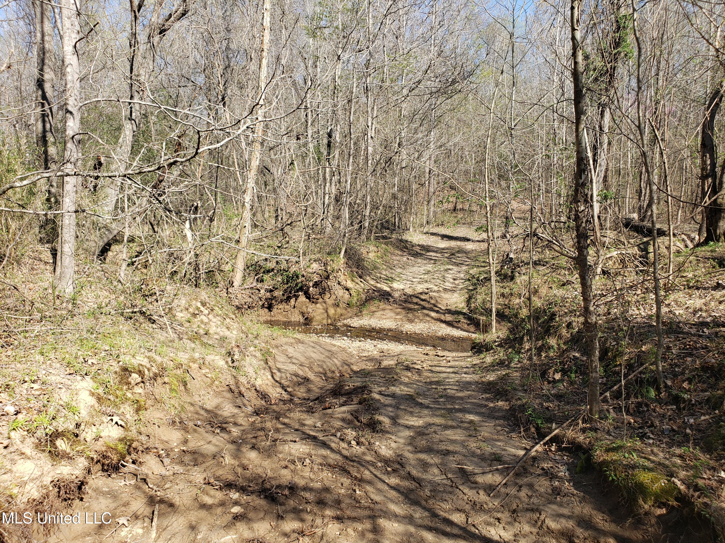 Hogfoot Road Senatobia, MS 38668 - Photo 116 of 145 20250326_155032