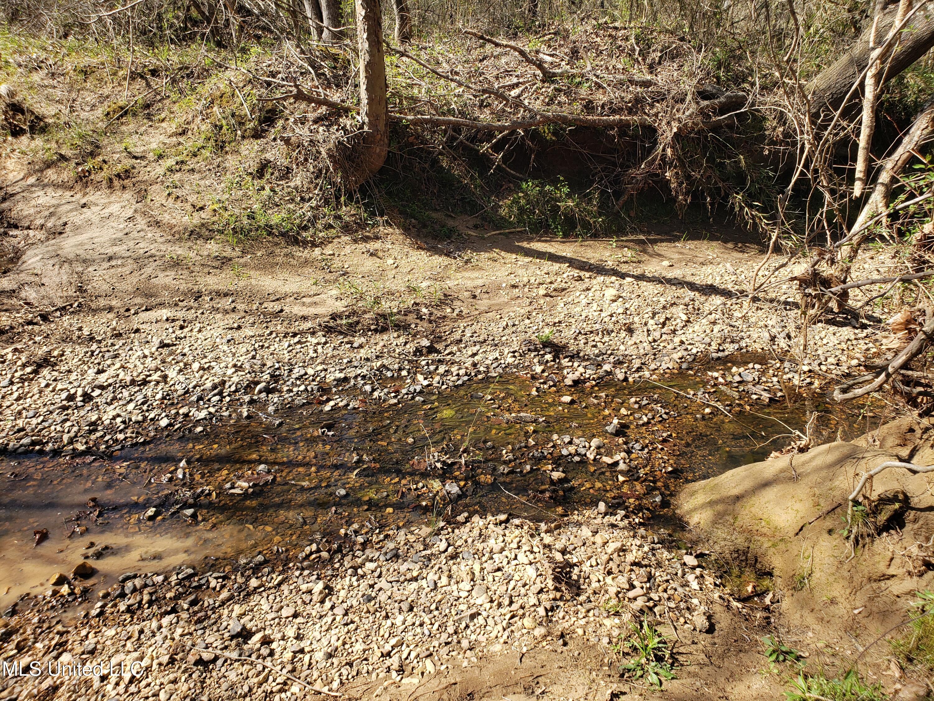 Hogfoot Road Senatobia, MS 38668 - Photo 117 of 145 20250326_155046