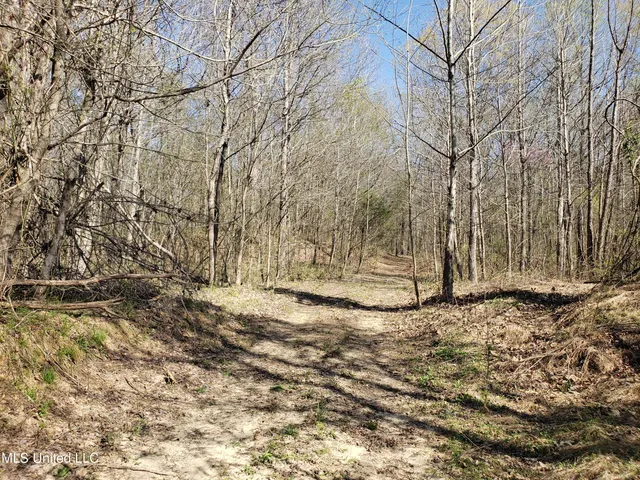 $2,541,000 | Hogfoot Road, Senatobia, MS 38668