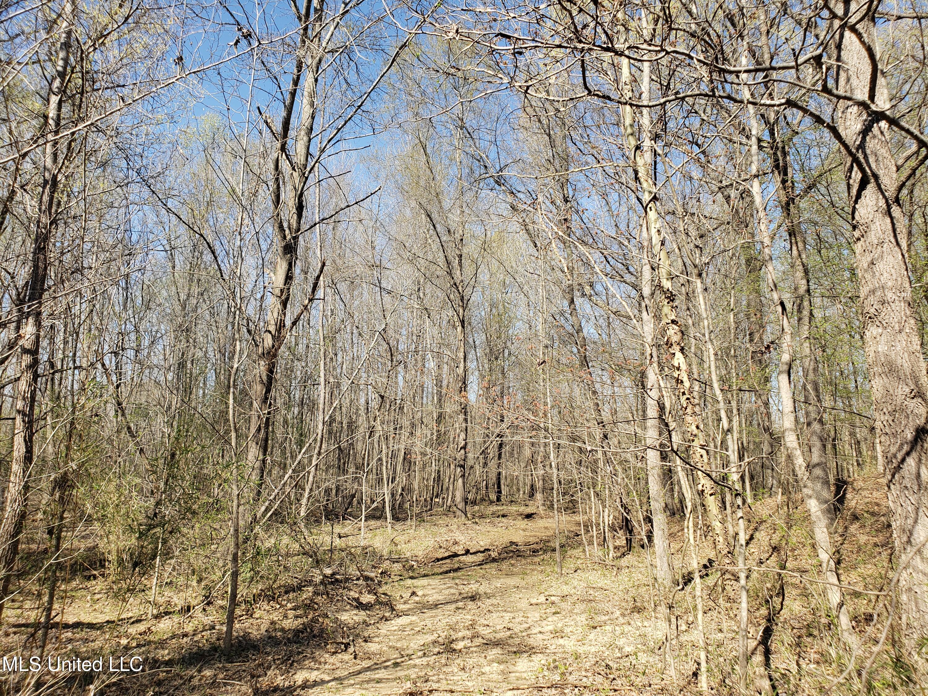 Hogfoot Road Senatobia, MS 38668 - Photo 119 of 145 20250326_155104