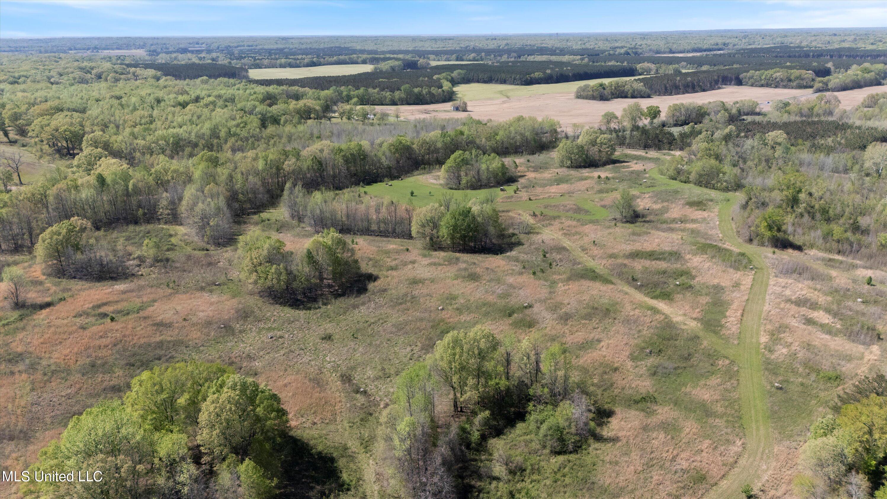 Hogfoot Road Senatobia, MS 38668 - Photo 12 of 145 12-DJI_20250407150950_0099_D