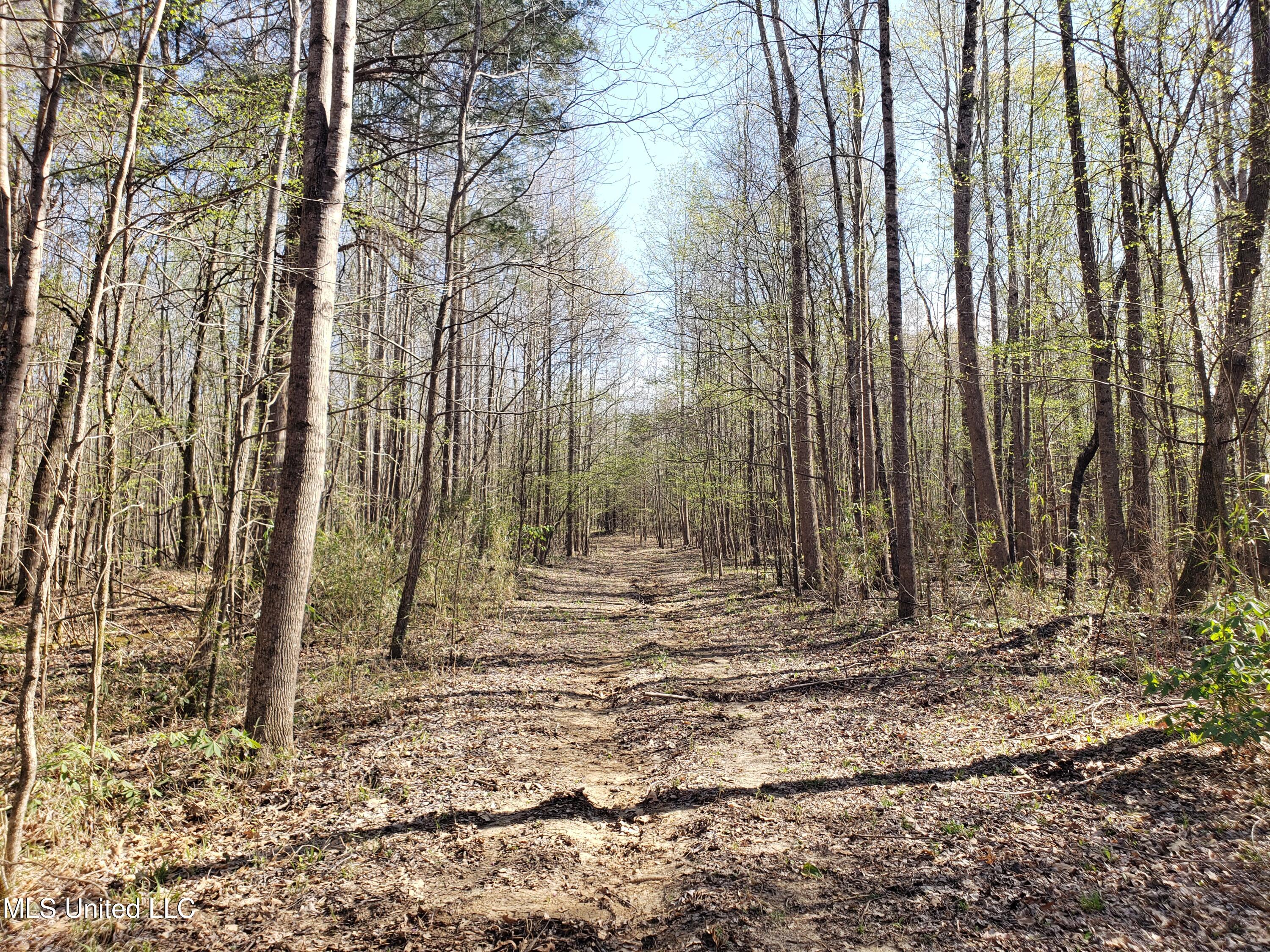 Hogfoot Road Senatobia, MS 38668 - Photo 121 of 145 20250326_155132