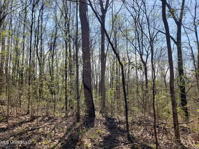 $2,541,000 | Hogfoot Road, Senatobia, MS 38668