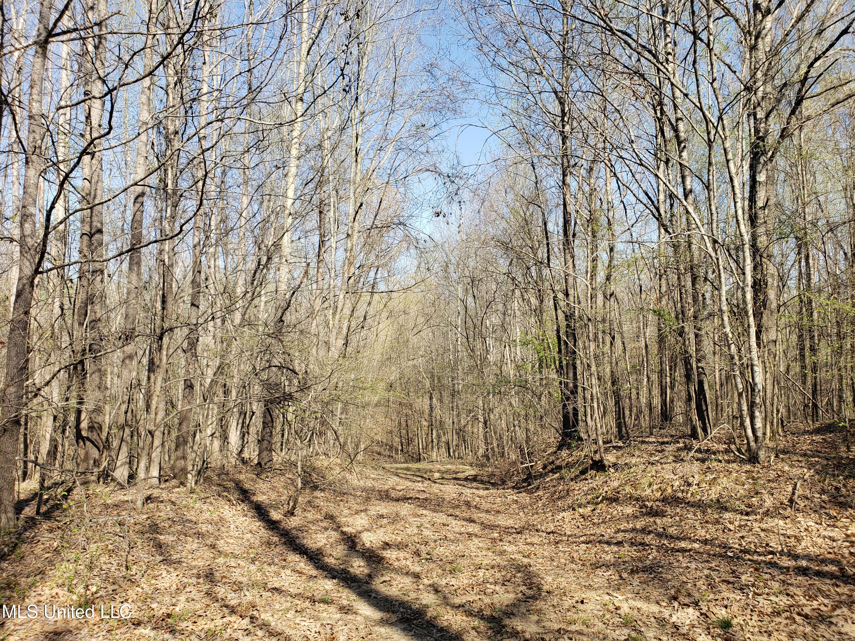 Hogfoot Road Senatobia, MS 38668 - Photo 123 of 145 20250326_155248