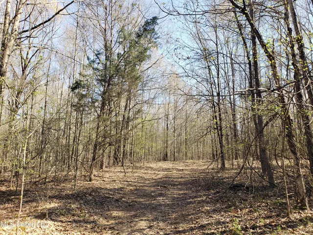$2,541,000 | Hogfoot Road, Senatobia, MS 38668