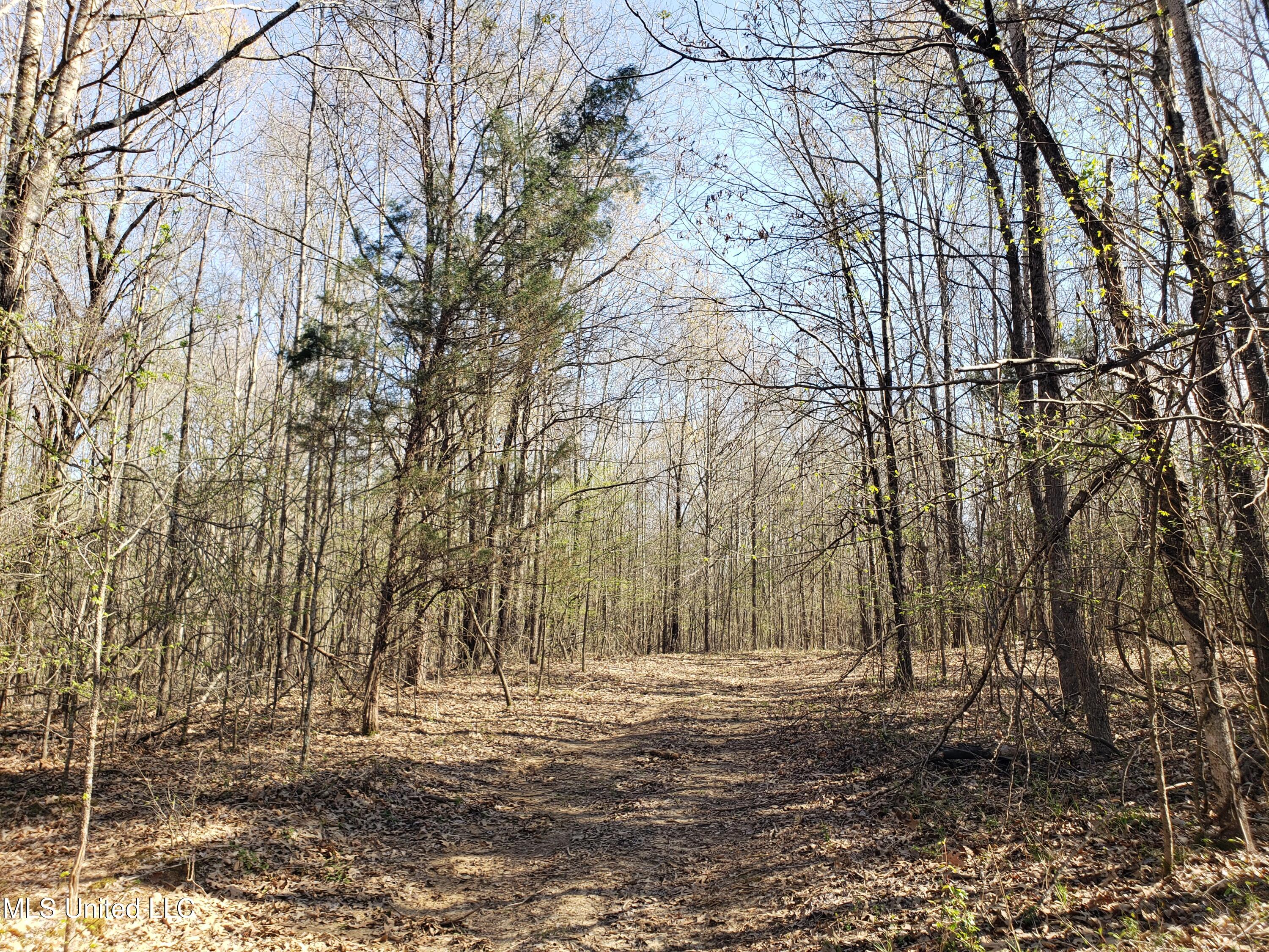 Hogfoot Road Senatobia, MS 38668 - Photo 124 of 145 20250326_155251