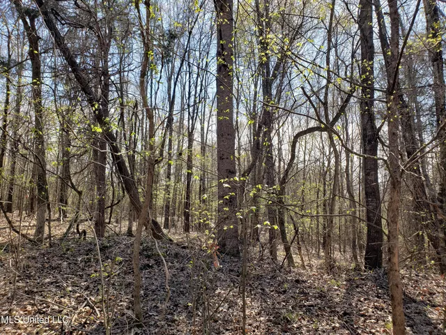 $2,541,000 | Hogfoot Road, Senatobia, MS 38668