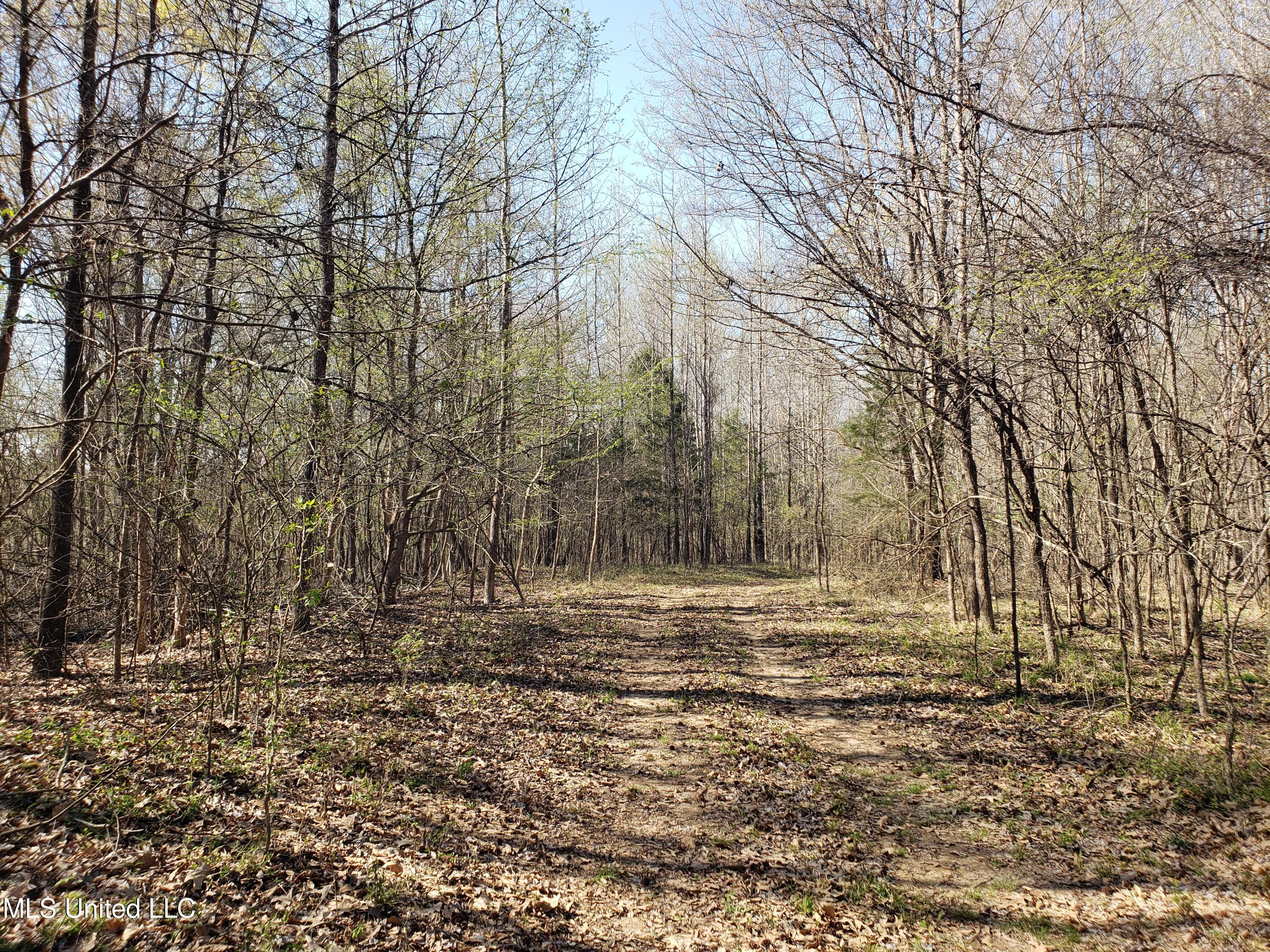 Hogfoot Road Senatobia, MS 38668 - Photo 126 of 145 20250326_155303