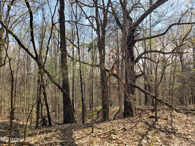 $2,541,000 | Hogfoot Road, Senatobia, MS 38668