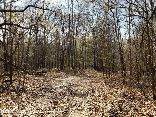 $2,541,000 | Hogfoot Road, Senatobia, MS 38668