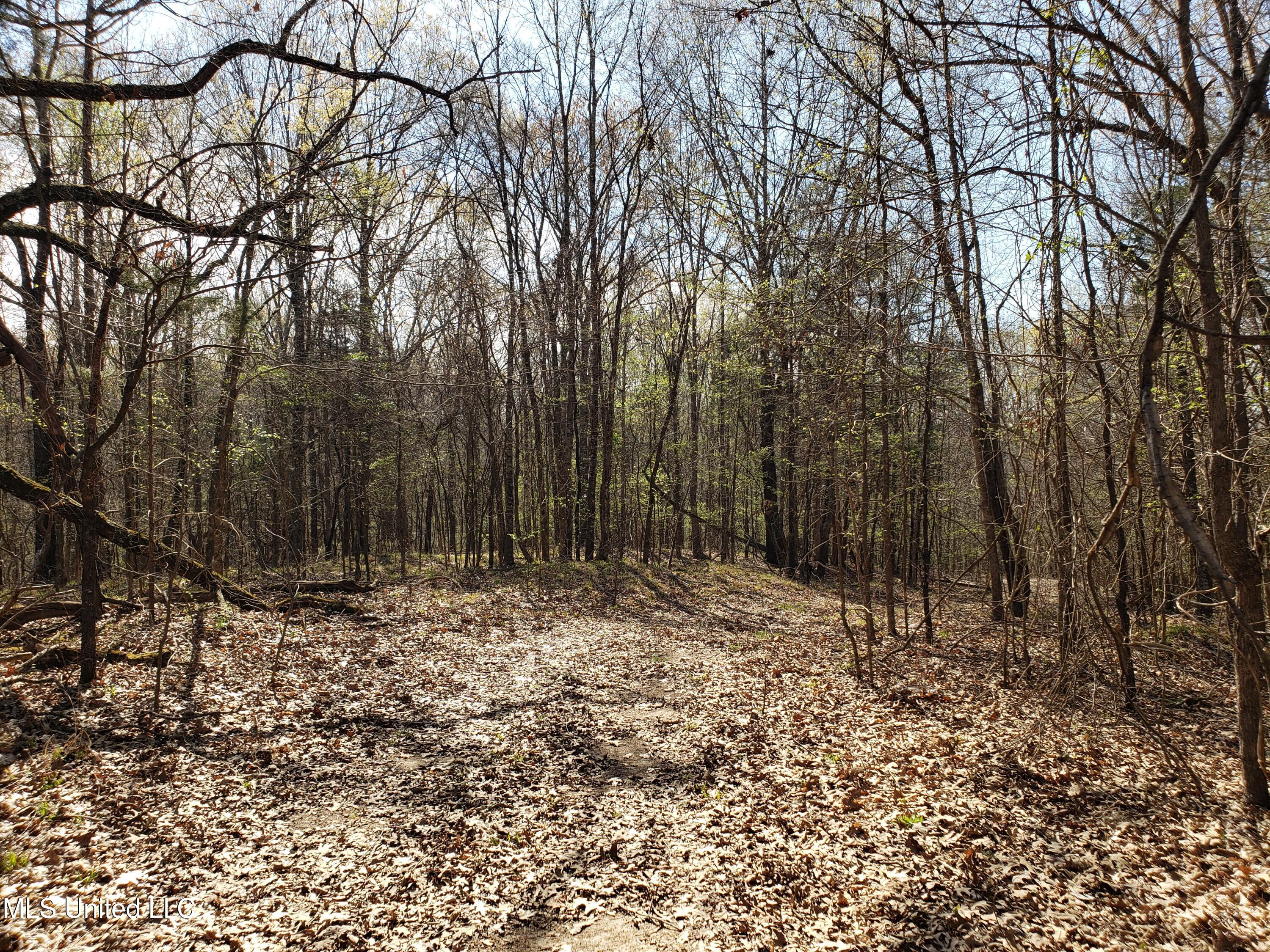 Hogfoot Road Senatobia, MS 38668 - Photo 128 of 145 20250326_155343