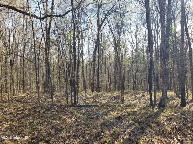 $2,541,000 | Hogfoot Road, Senatobia, MS 38668