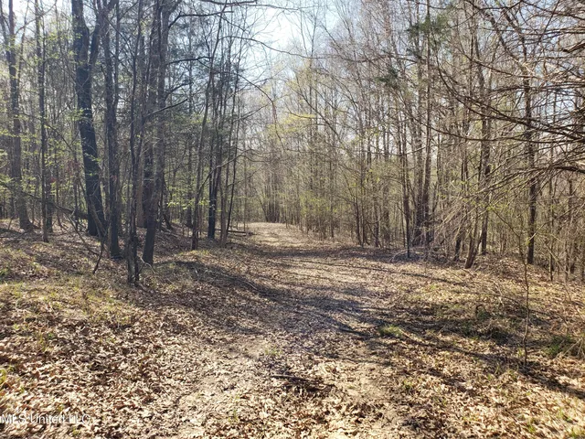 $2,541,000 | Hogfoot Road, Senatobia, MS 38668