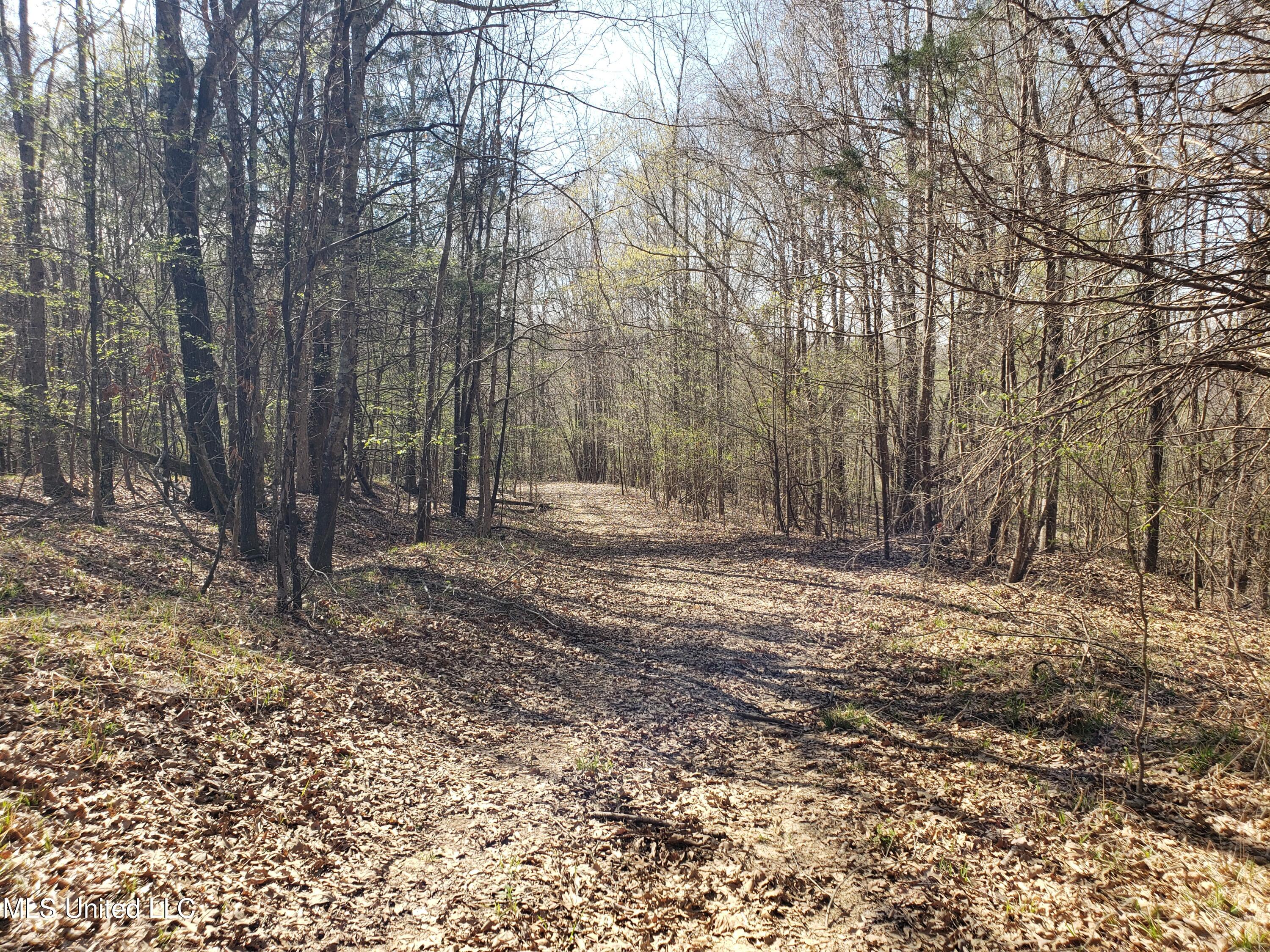 Hogfoot Road Senatobia, MS 38668 - Photo 130 of 145 20250326_155359