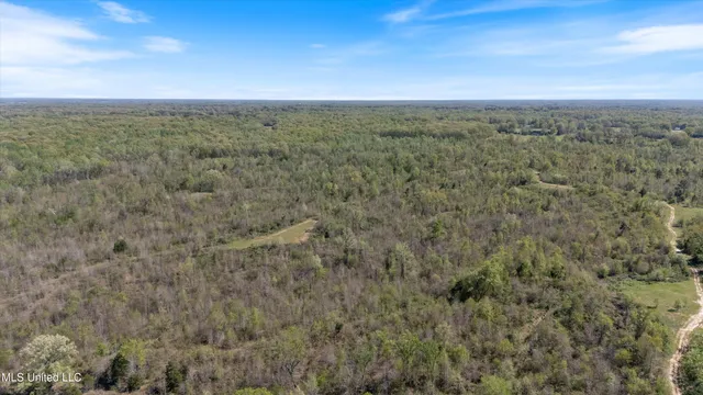 $2,541,000 | Hogfoot Road, Senatobia, MS 38668