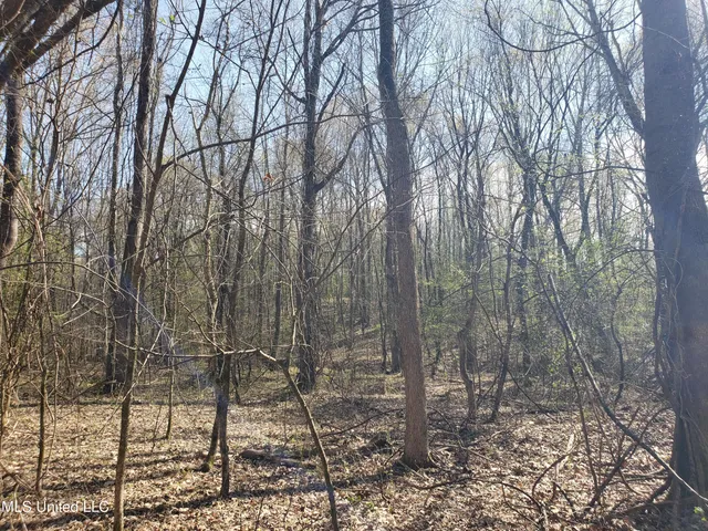 $2,541,000 | Hogfoot Road, Senatobia, MS 38668