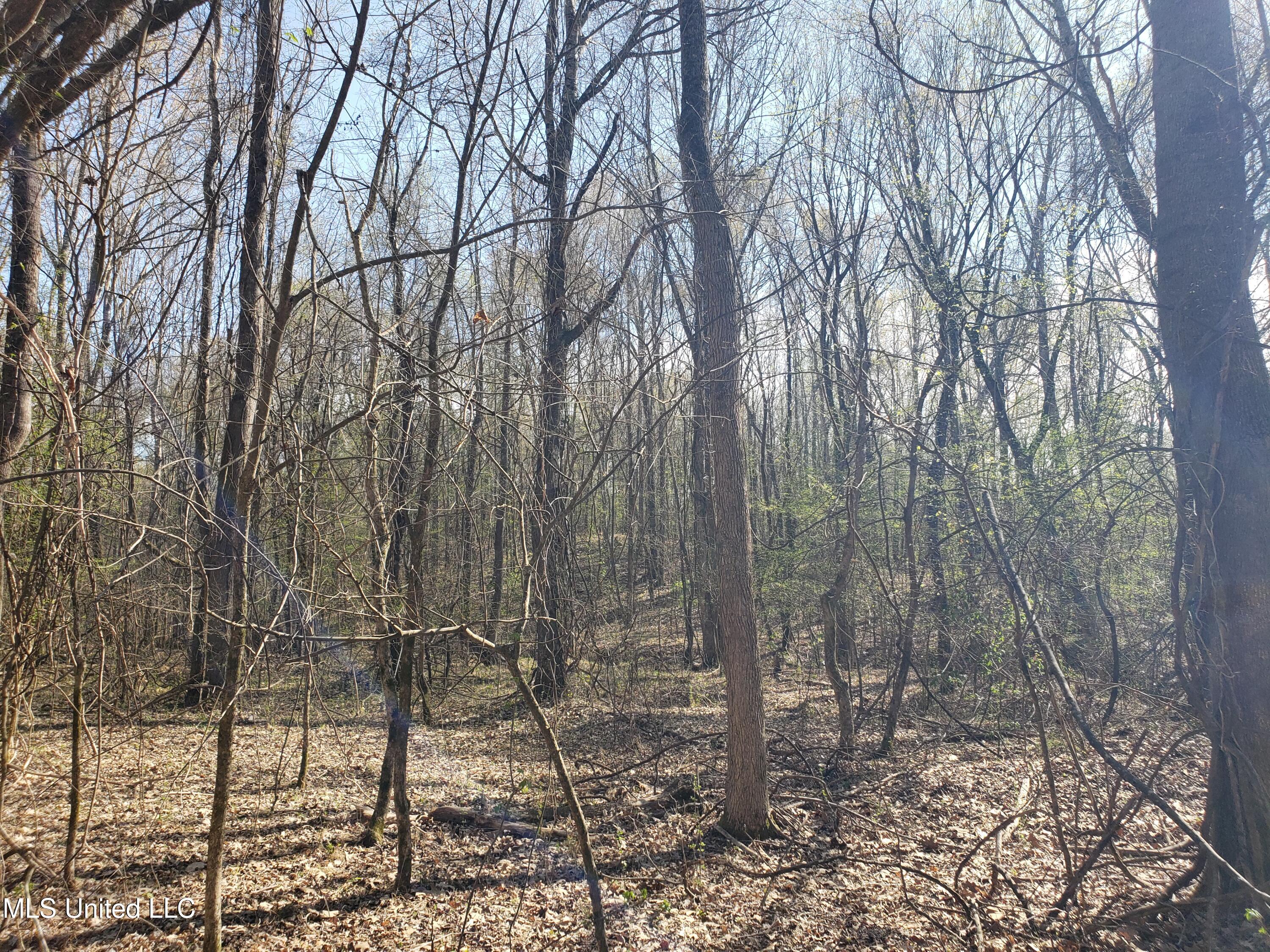 Hogfoot Road Senatobia, MS 38668 - Photo 132 of 145 20250326_155450