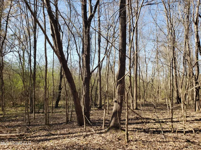 $2,541,000 | Hogfoot Road, Senatobia, MS 38668