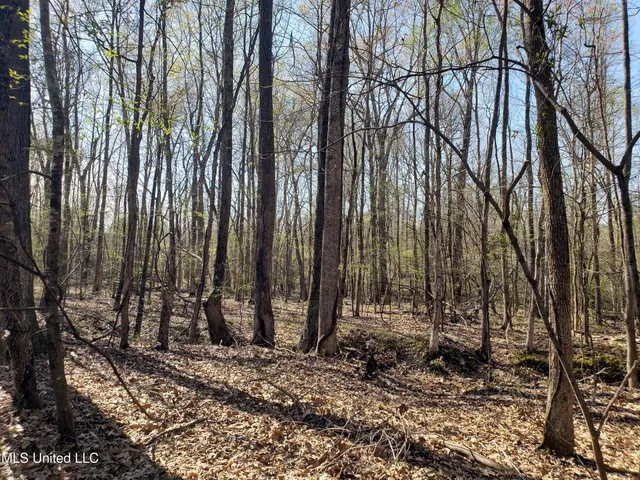$2,541,000 | Hogfoot Road, Senatobia, MS 38668