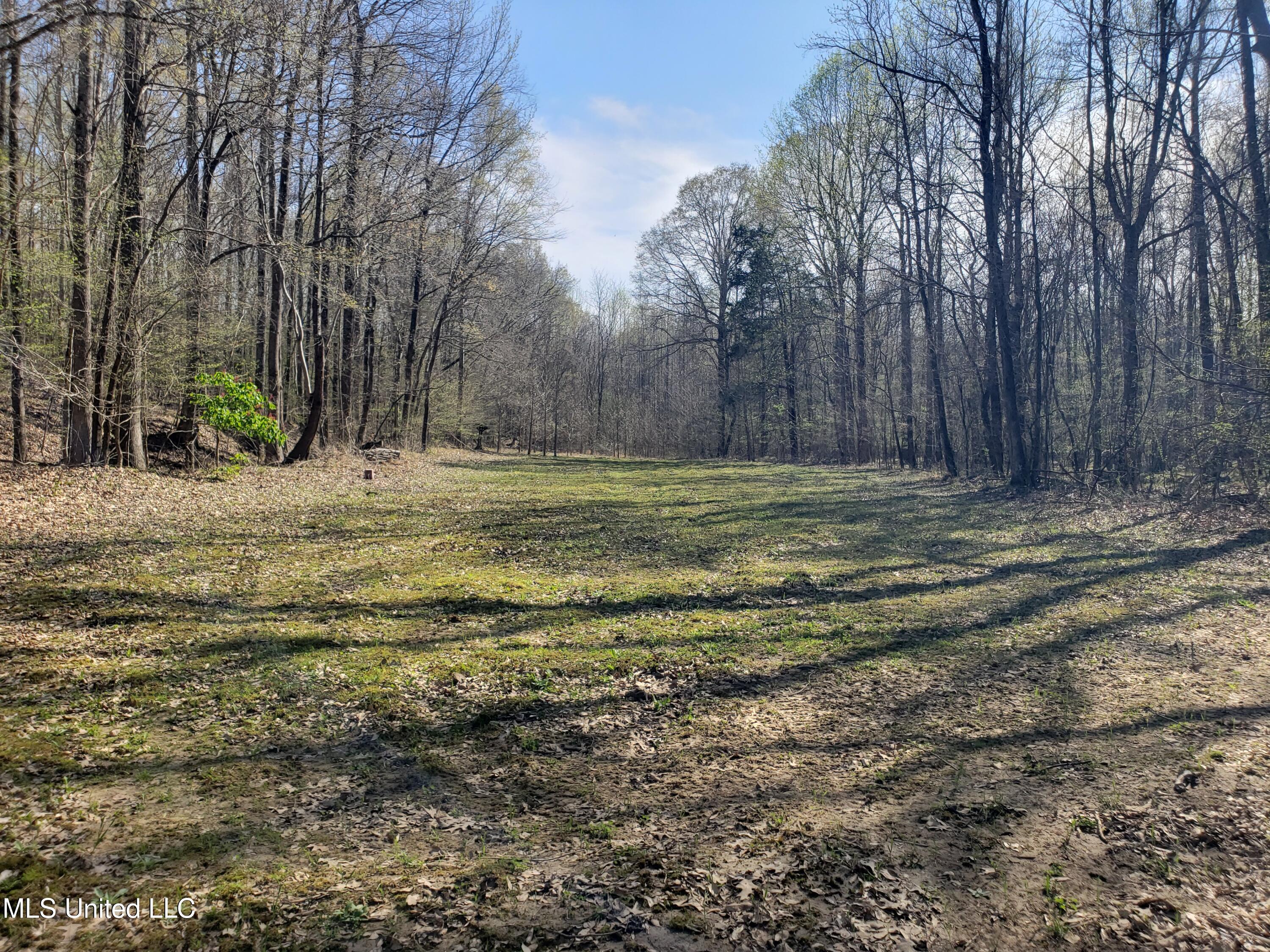 Hogfoot Road Senatobia, MS 38668 - Photo 135 of 145 20250326_155541