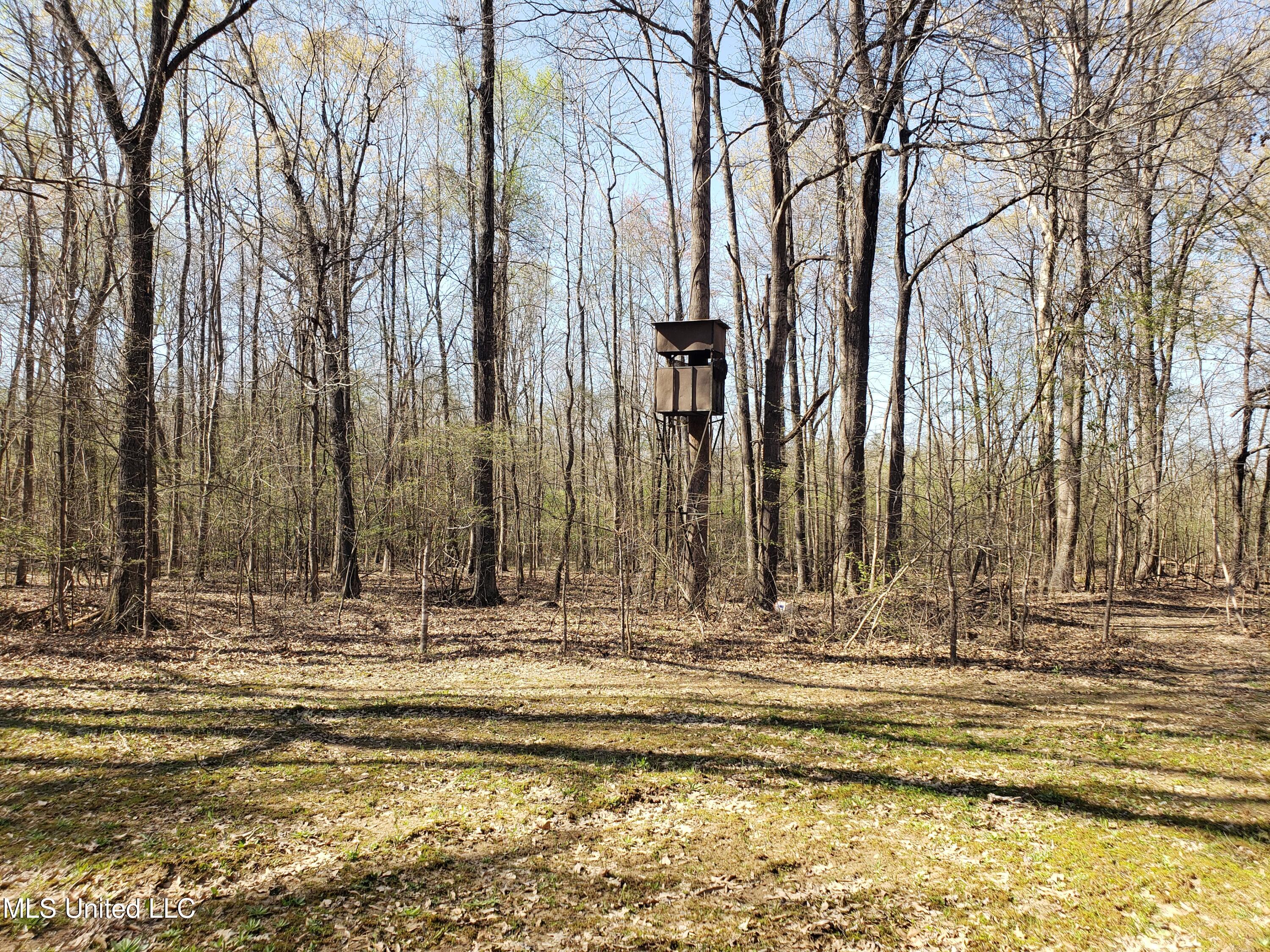 Hogfoot Road Senatobia, MS 38668 - Photo 137 of 145 20250326_155558