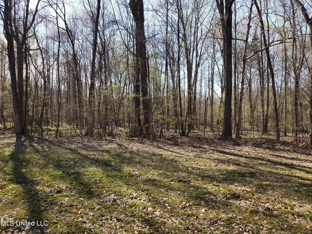 $2,541,000 | Hogfoot Road, Senatobia, MS 38668