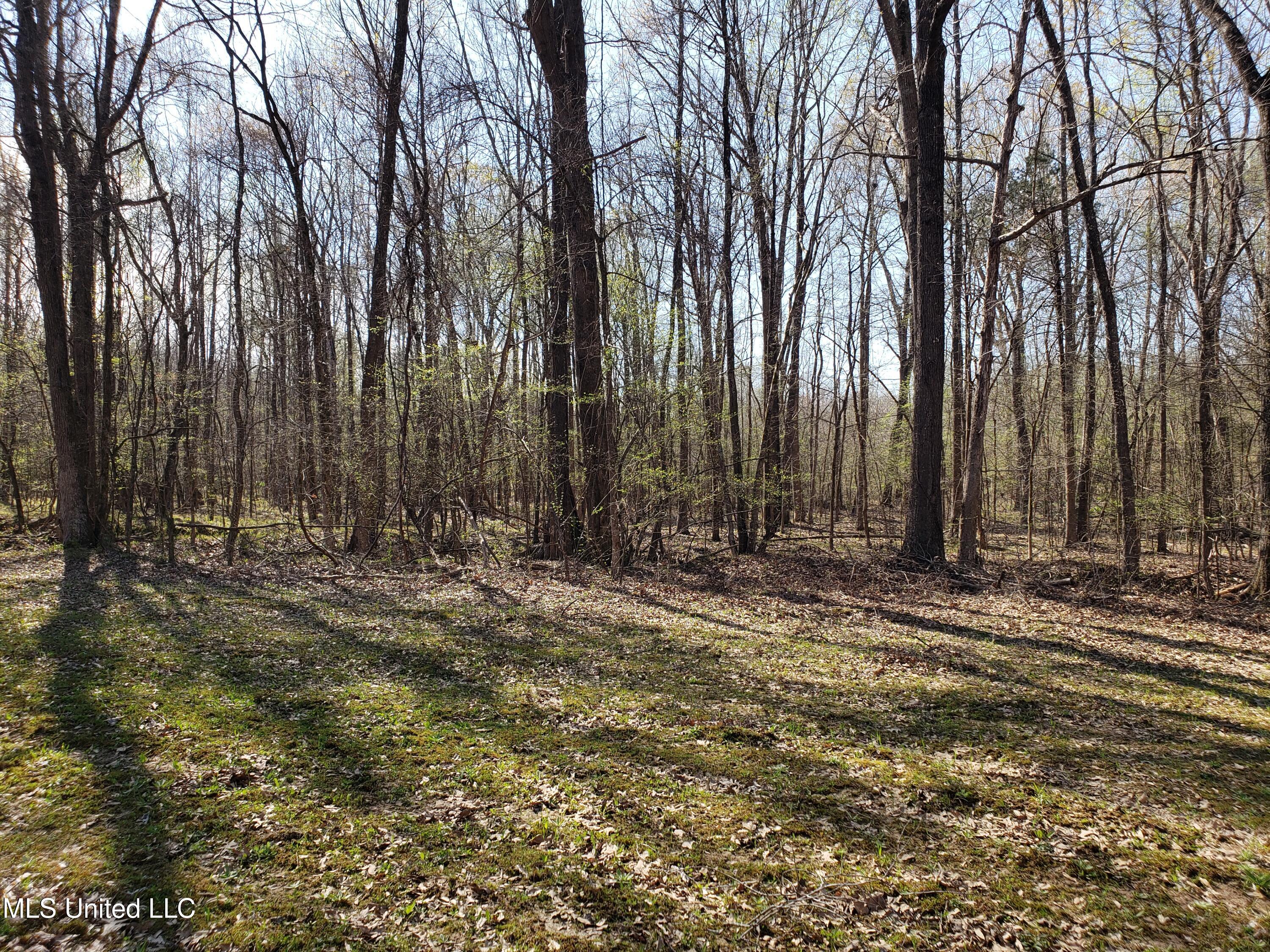 Hogfoot Road Senatobia, MS 38668 - Photo 138 of 145 20250326_155603