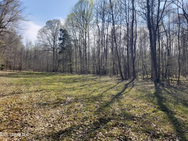 $2,541,000 | Hogfoot Road, Senatobia, MS 38668