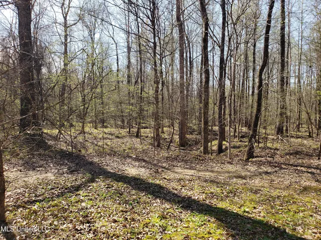 $2,541,000 | Hogfoot Road, Senatobia, MS 38668