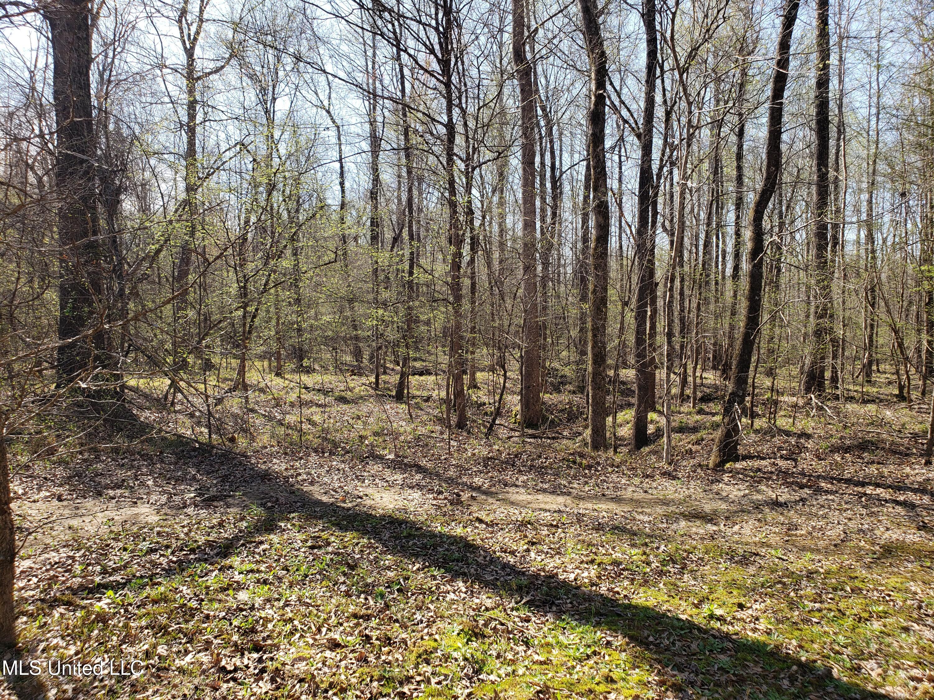 Hogfoot Road Senatobia, MS 38668 - Photo 140 of 145 20250326_155641