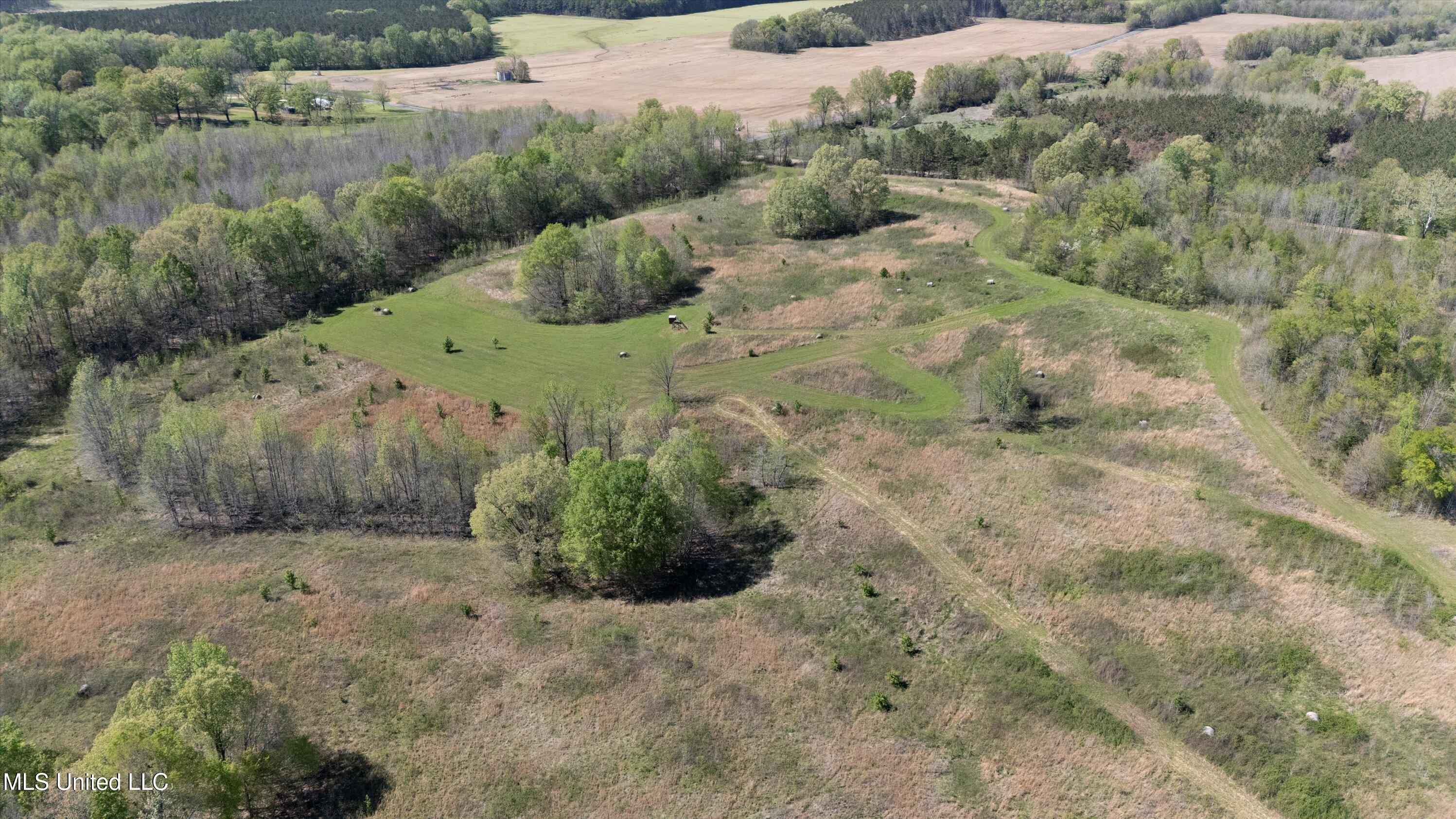 Hogfoot Road Senatobia, MS 38668 - Photo 14 of 145 14-DJI_20250407151125_0107_D