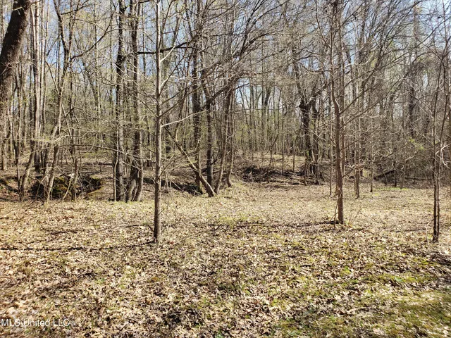 $2,541,000 | Hogfoot Road, Senatobia, MS 38668